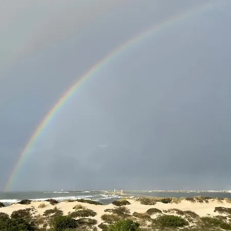 Apartamento Casa Alegria Deluxe By Sweet Aveiro