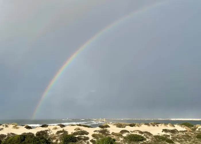 Apartamento Casa Alegria Deluxe By Sweet Aveiro